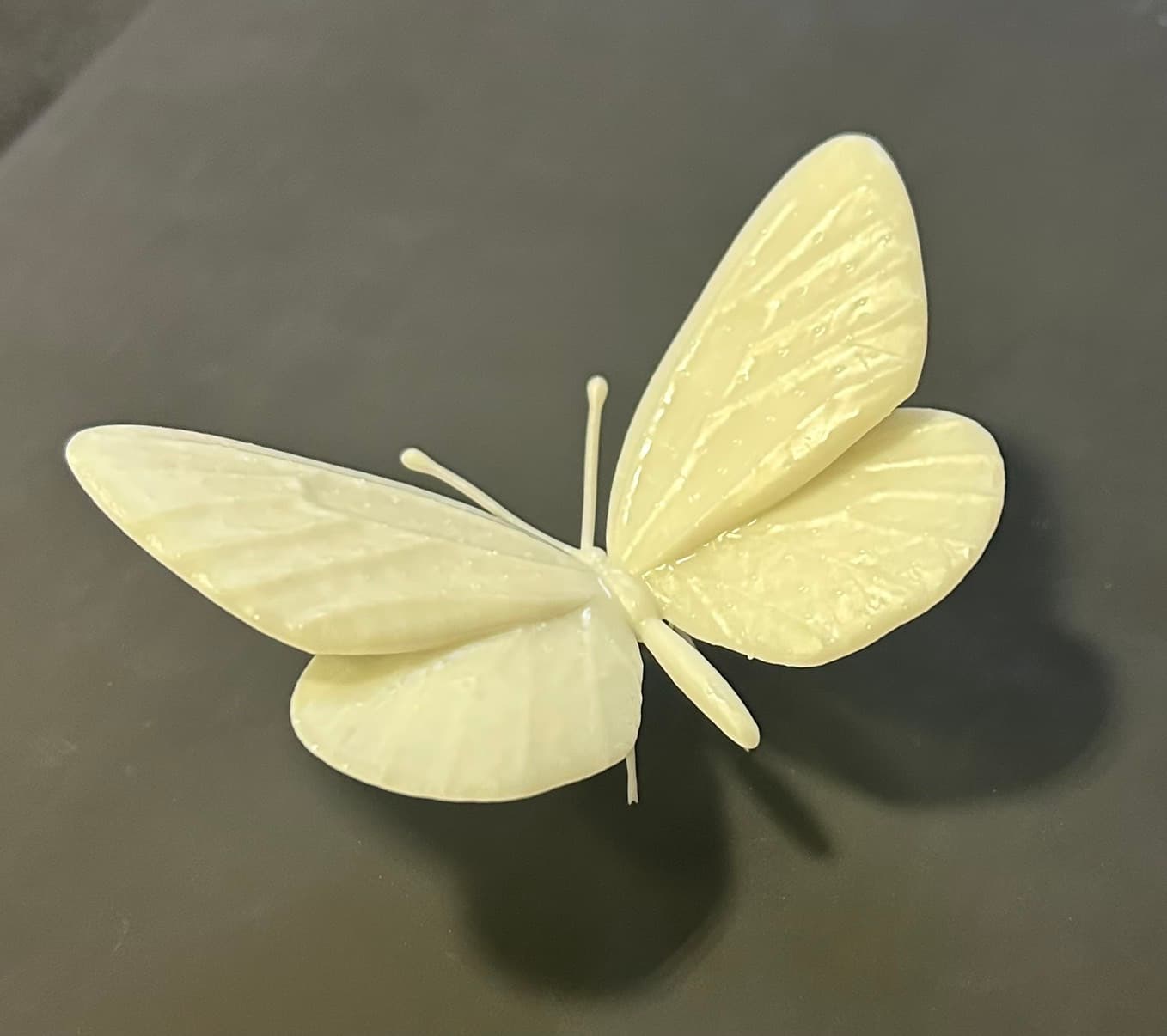 理科教材 モンシロチョウ成虫の3Dプリント模型