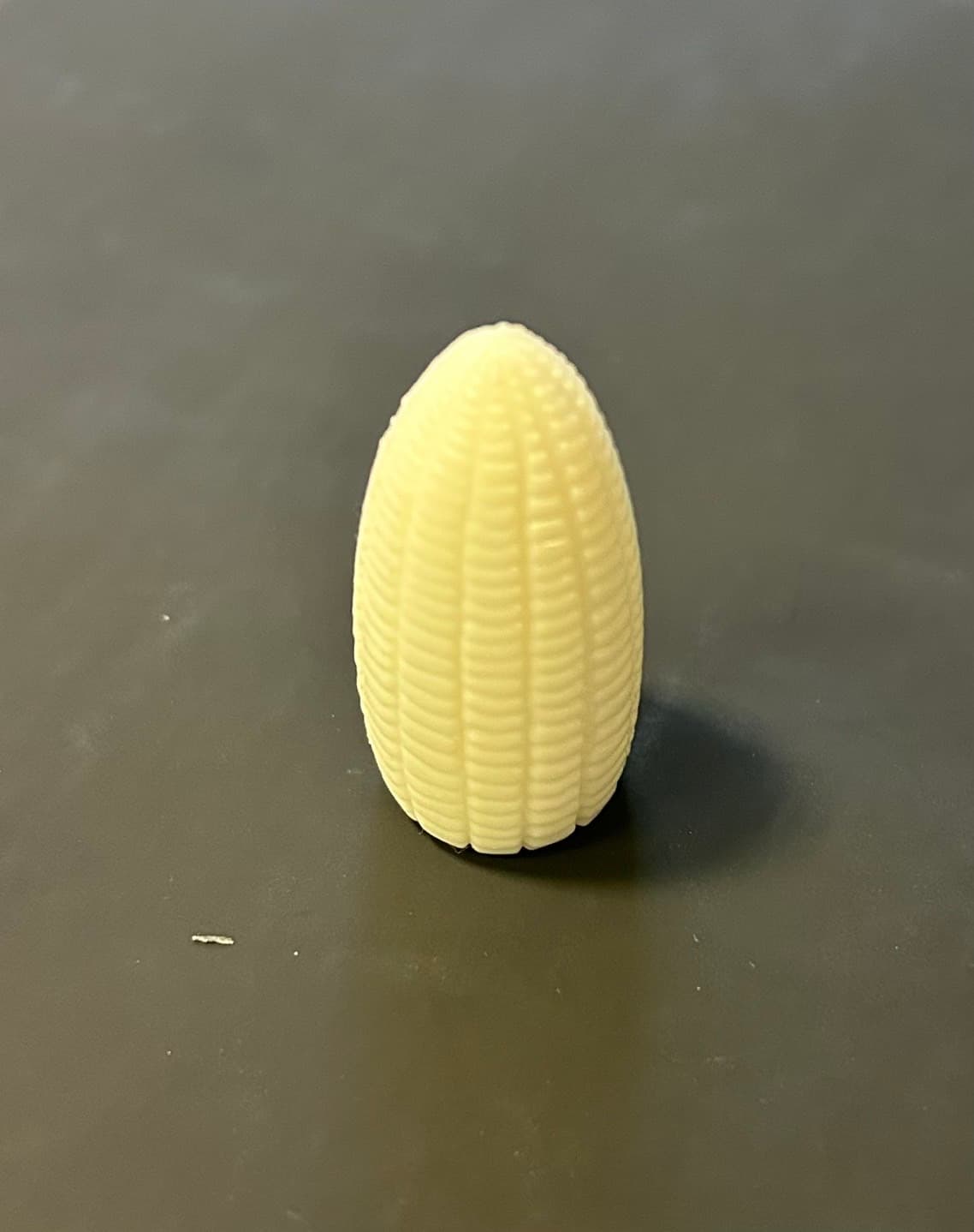 理科教材 モンシロチョウ成長過程モデル 卵