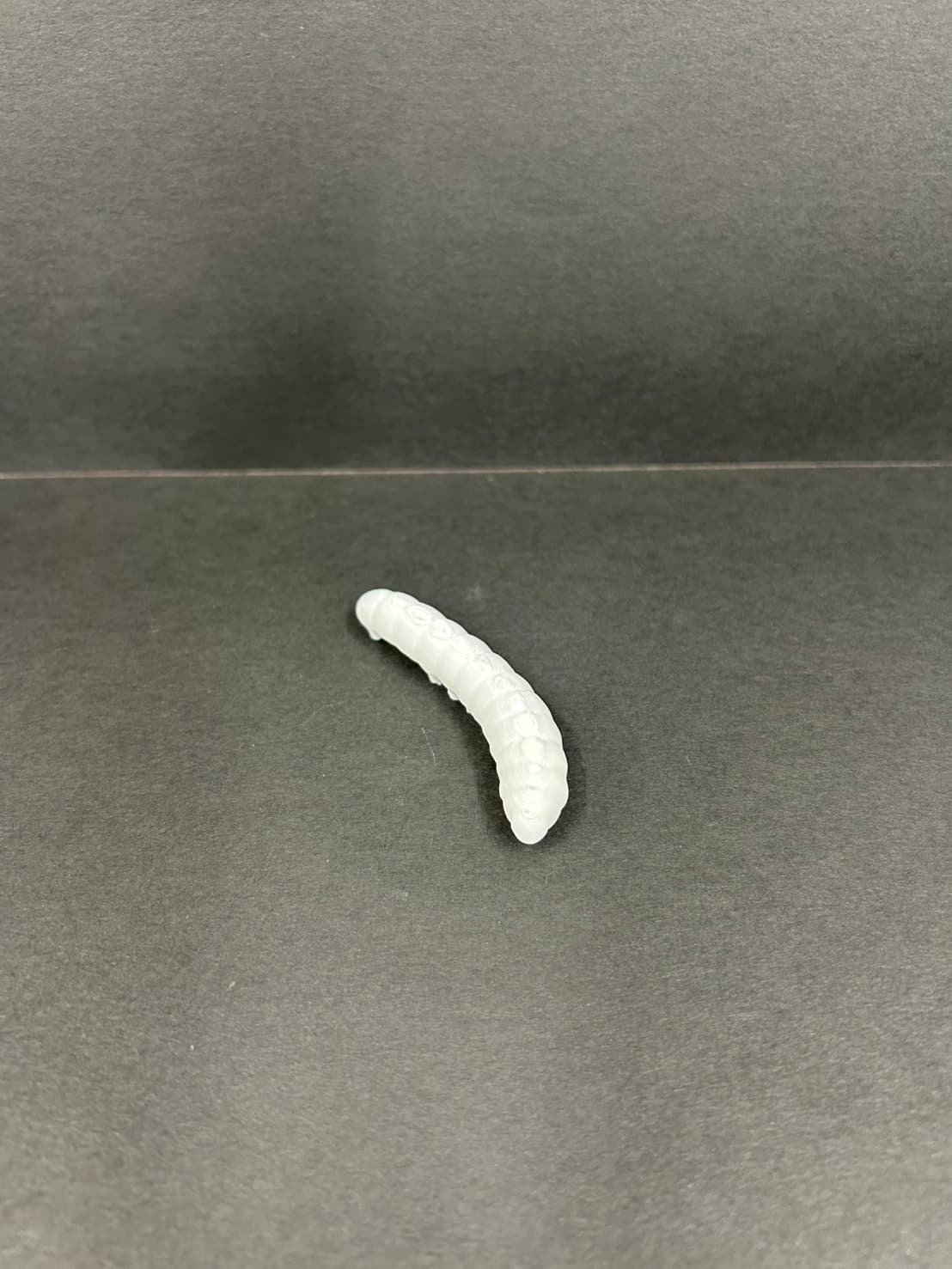 理科教材 モンシロチョウ成長過程モデル 幼虫